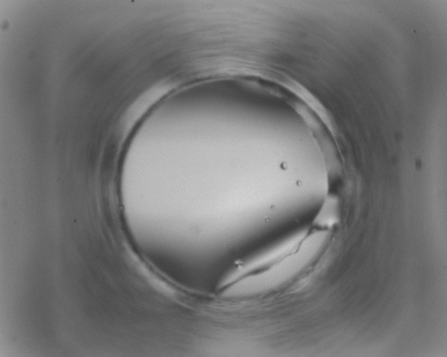 X0000077361293200611101630