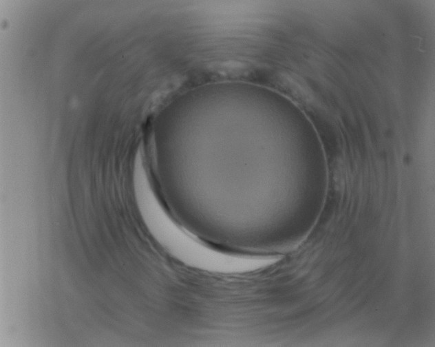 X0000077361298200611101629