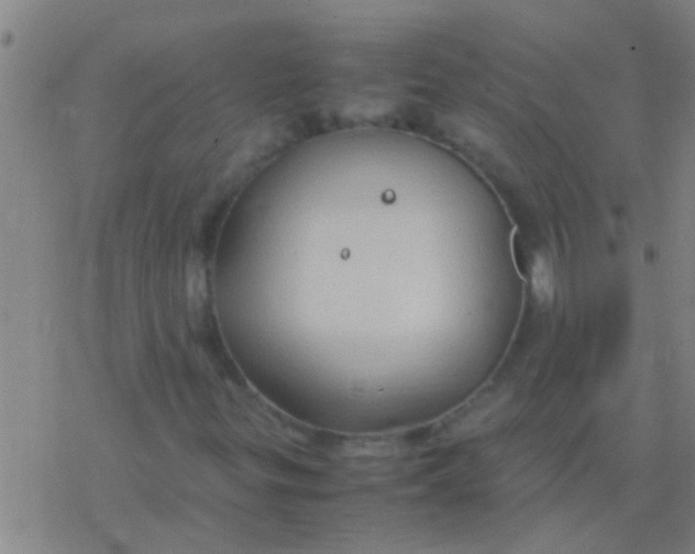 X0000077361299200611101629