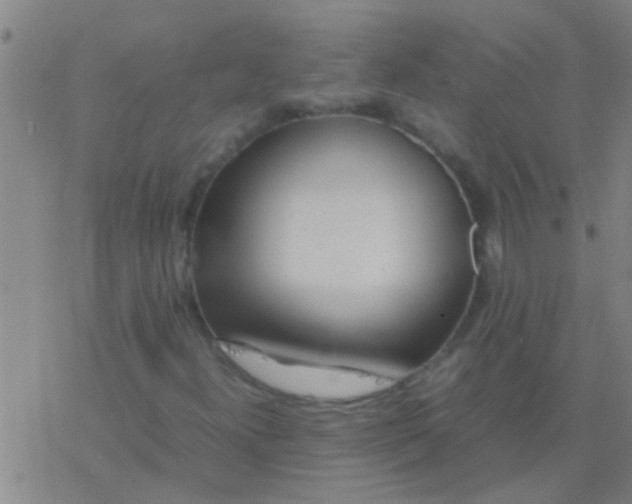 X0000077361300200611101629