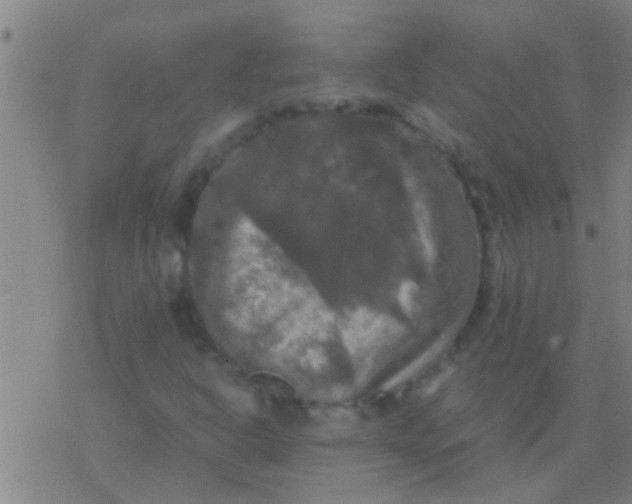 X0000077361302200611101629