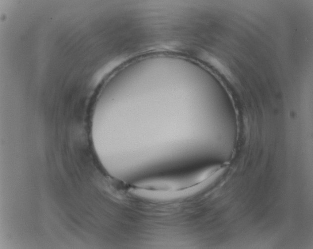 X0000077361308200611101629