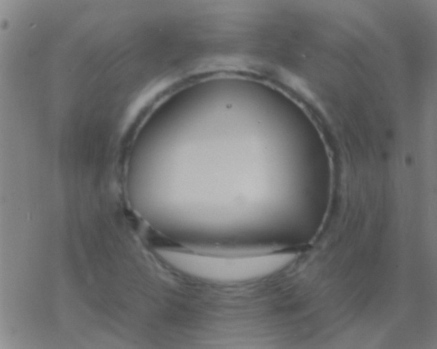 X0000077361312200611101629