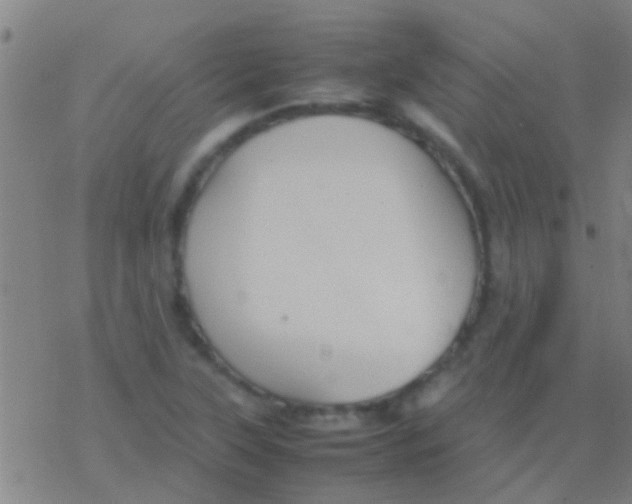 X0000077361315200611101629