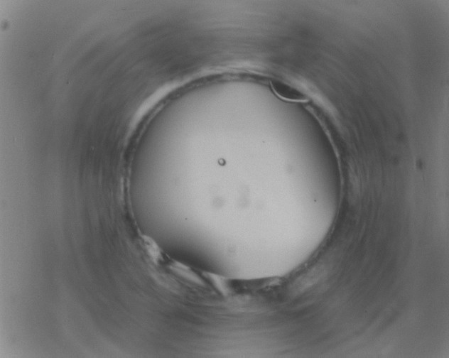 X0000077361316200611101629