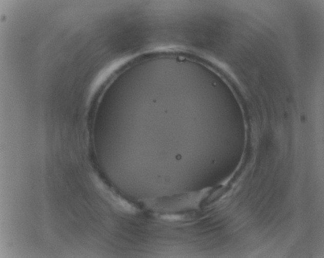 X0000077361319200611101629