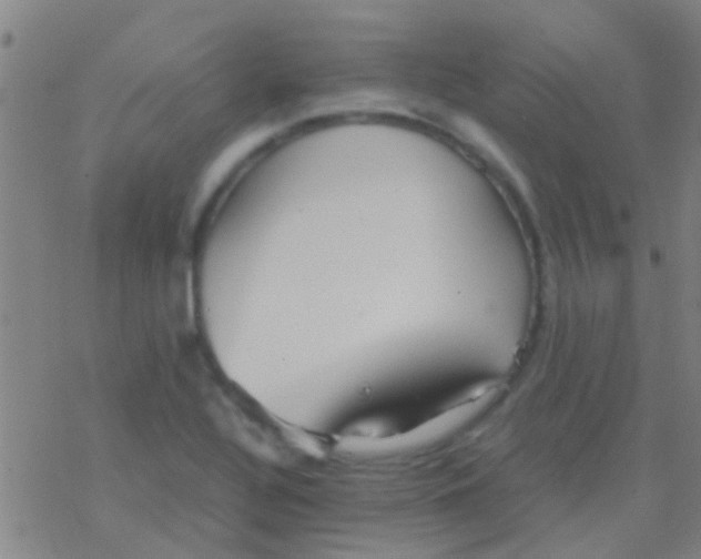 X0000077361320200611101629