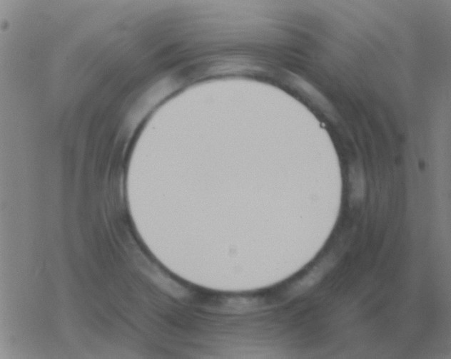 X0000077361322200611101629