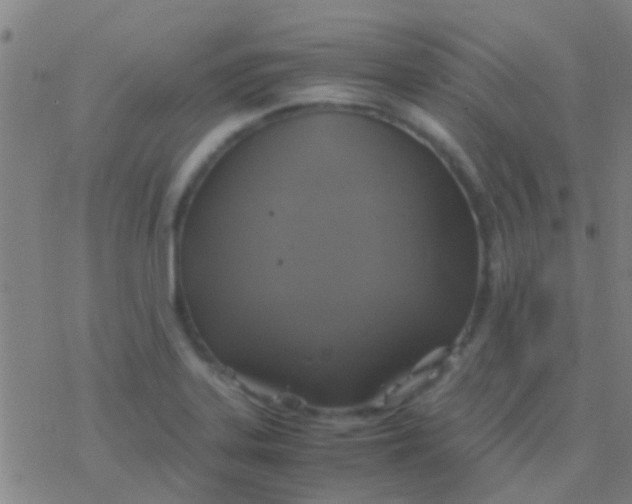 X0000077361323200611101629