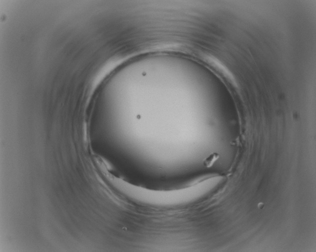 X0000077361324200611101629