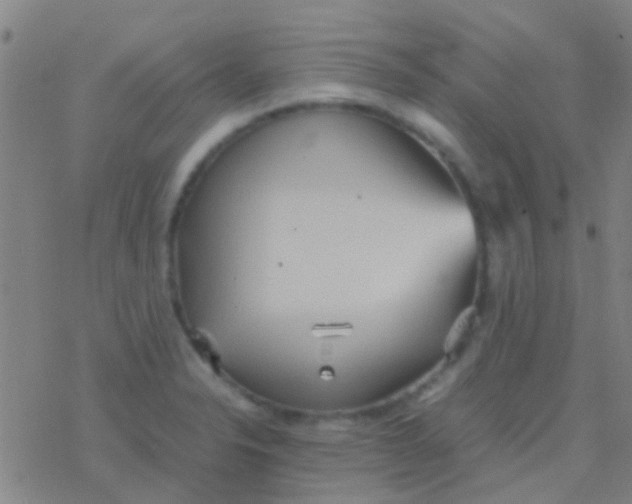 X0000077361326200611101629