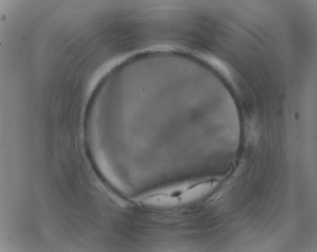 X0000077361327200611101629