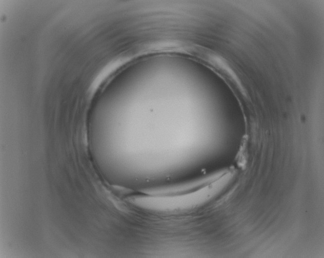 X0000077361328200611101629