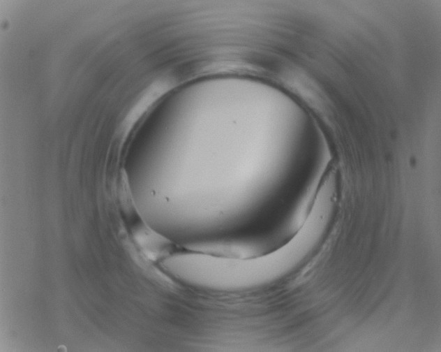 X0000077361330200611101629