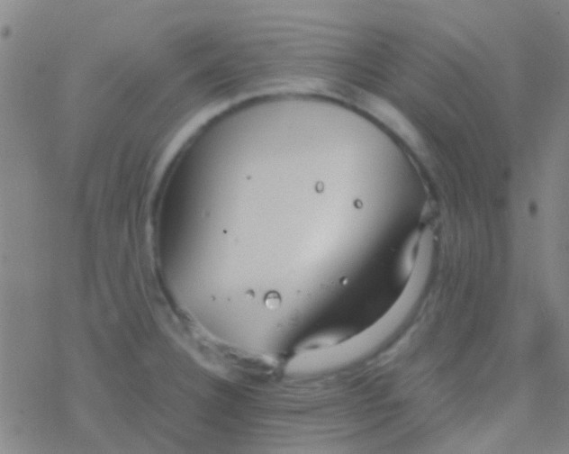 X0000077361332200611101629