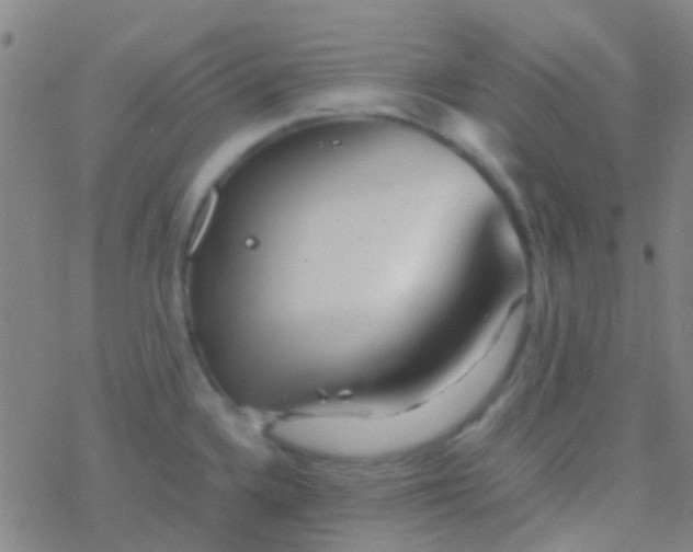 X0000077361336200611101629