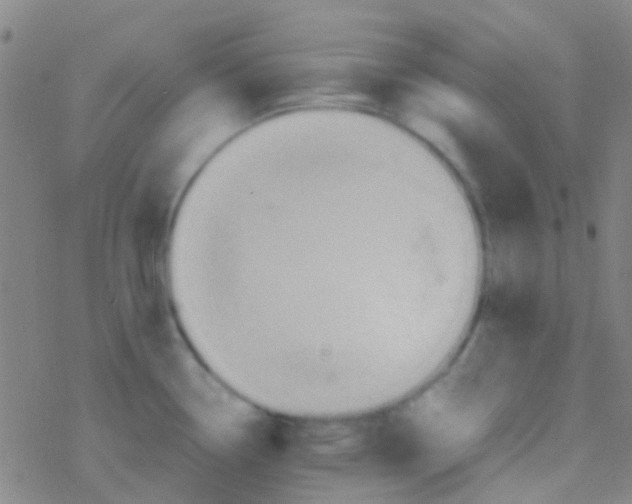 X0000077361338200611101629