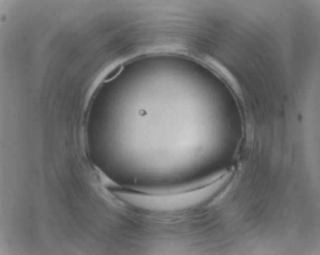 X0000077361340200611101629