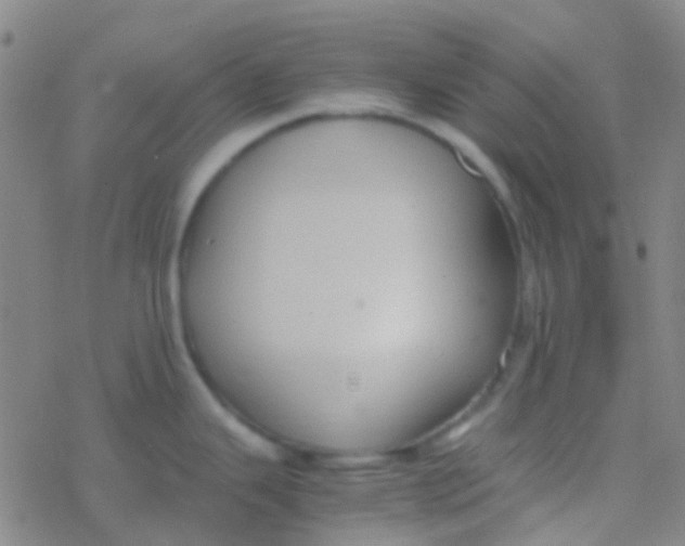 X0000077361343200611101629