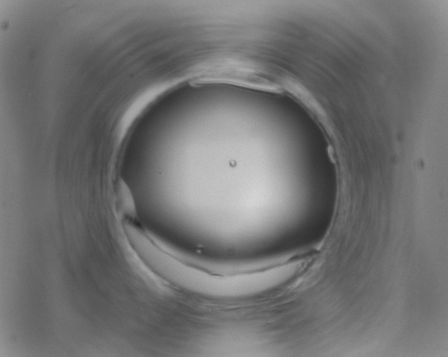 X0000077361344200611101629