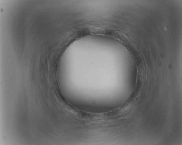 X0000077361345200611101629