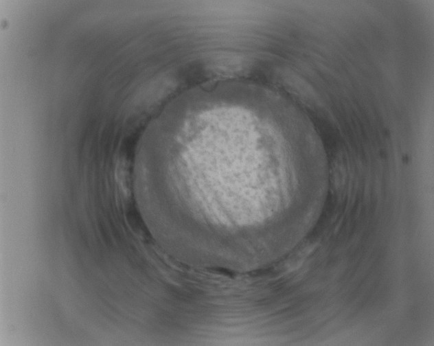 X0000077361346200611101629