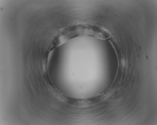 X0000077361348200611101629