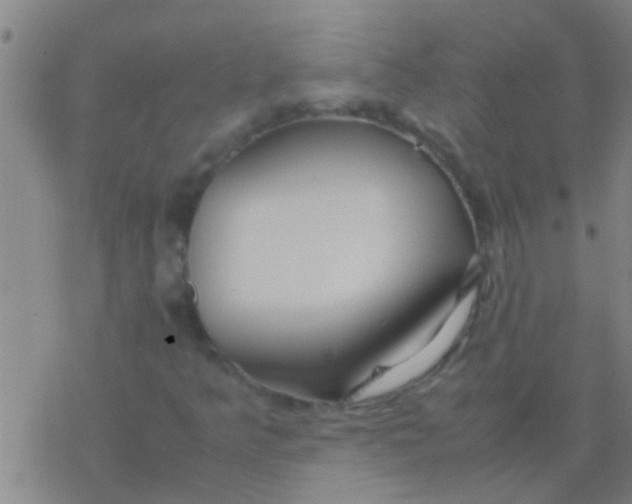 X0000077361349200611101629