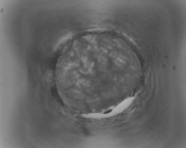 X0000077361351200611101629