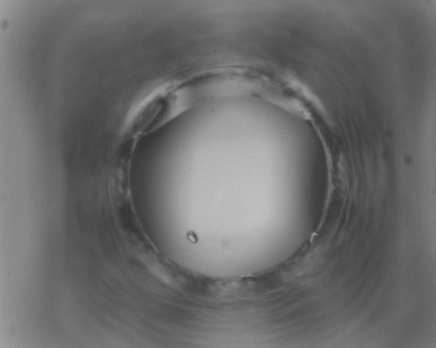 X0000077361352200611101629