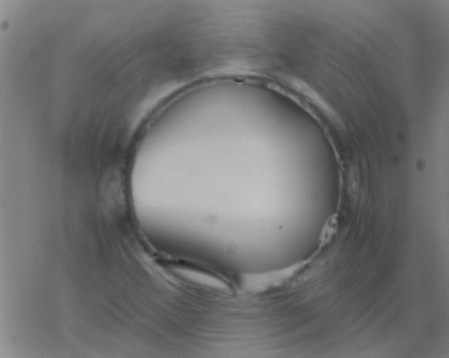 X0000077361356200611101629