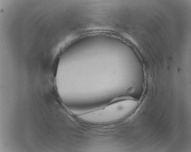 X0000077361357200611101628