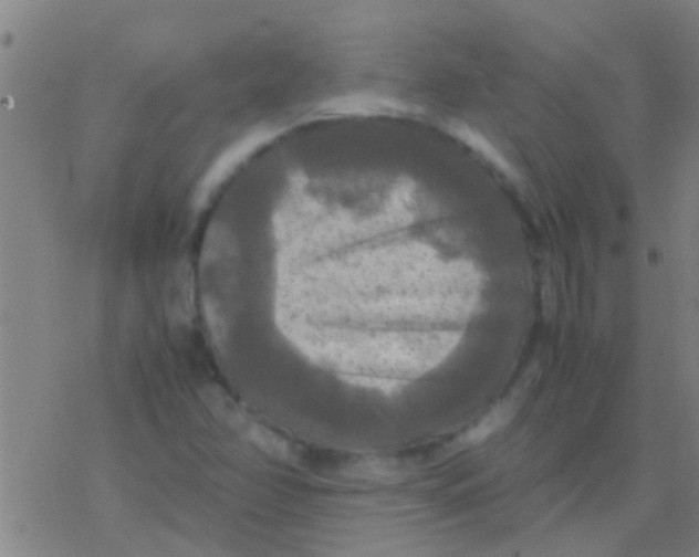 X0000077361358200611101628