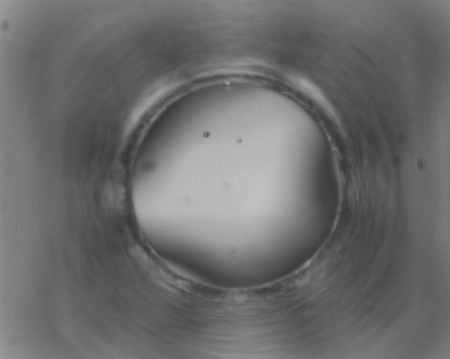 X0000077361360200611101628