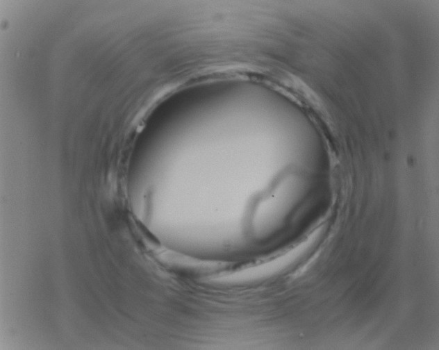 X0000077361361200611101628