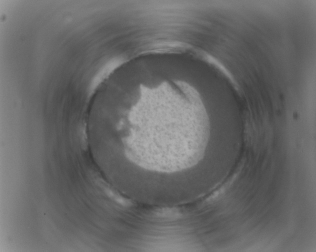 X0000077361362200611101628