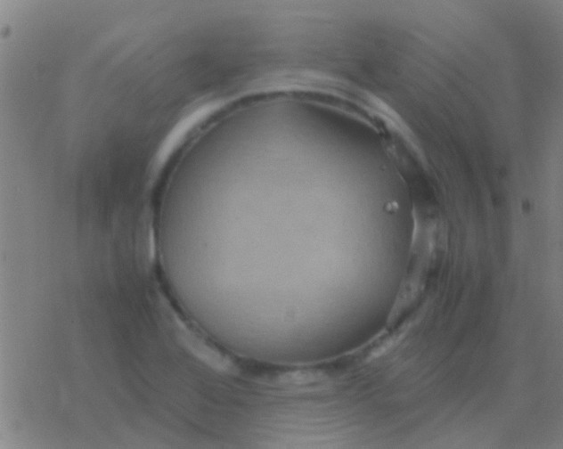 X0000077361368200611101628