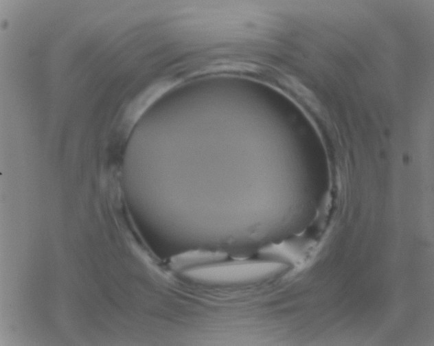 X0000077361369200611101628