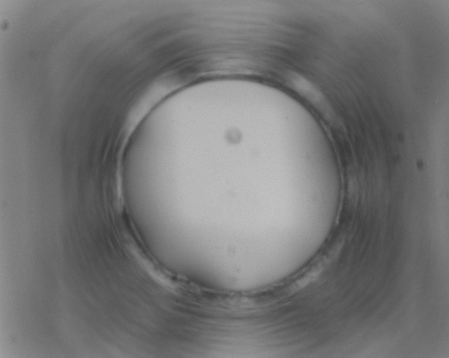 X0000077361370200611101628