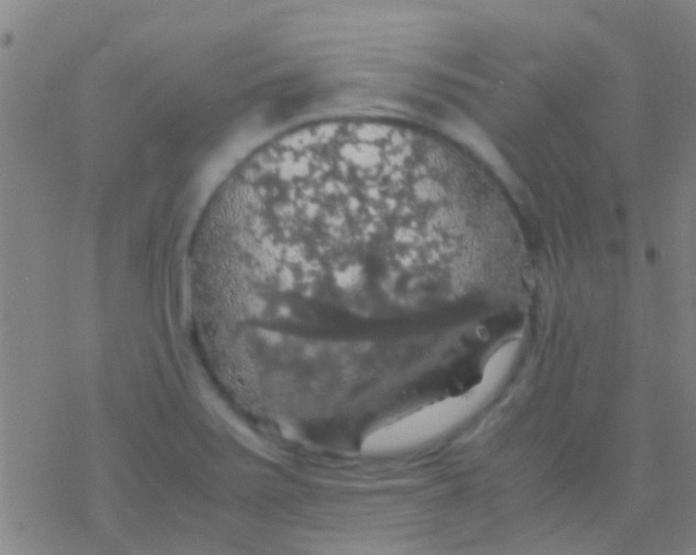 X0000077361371200611101628