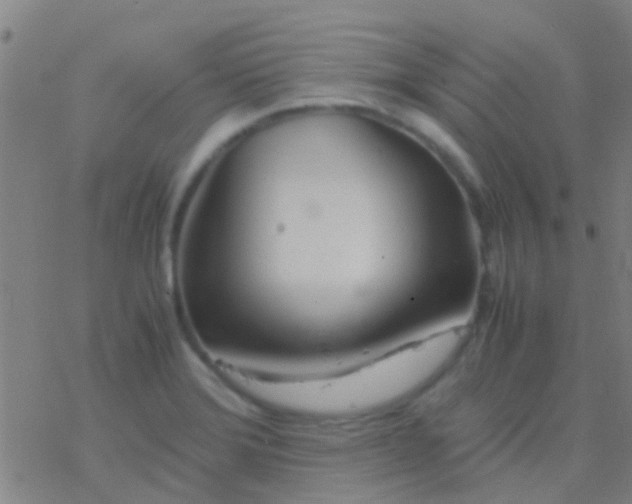 X0000077361372200611101628