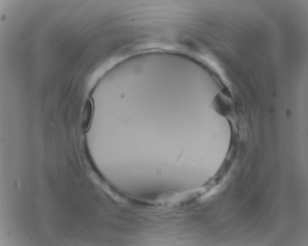 X0000077361373200611101628