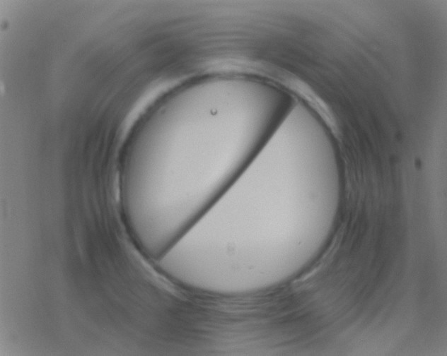 X0000077361376200611101628