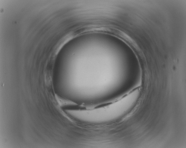 X0000077361377200611101628