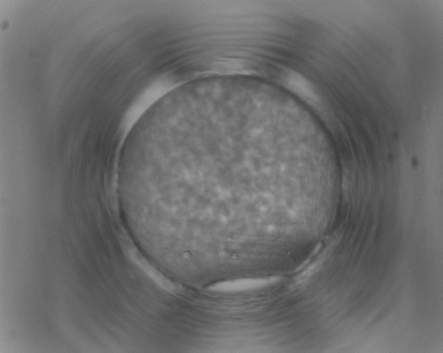 X0000077361378200611101628