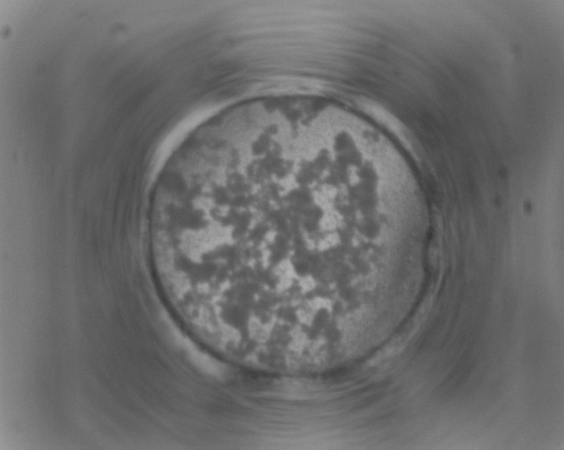 X0000077361379200611101628