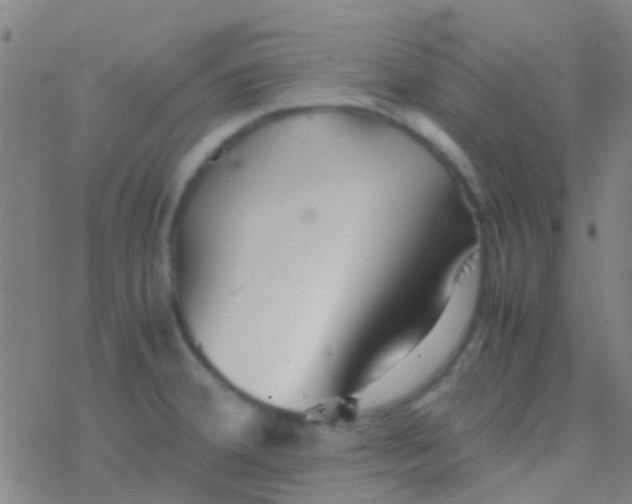 X0000077361380200611101628