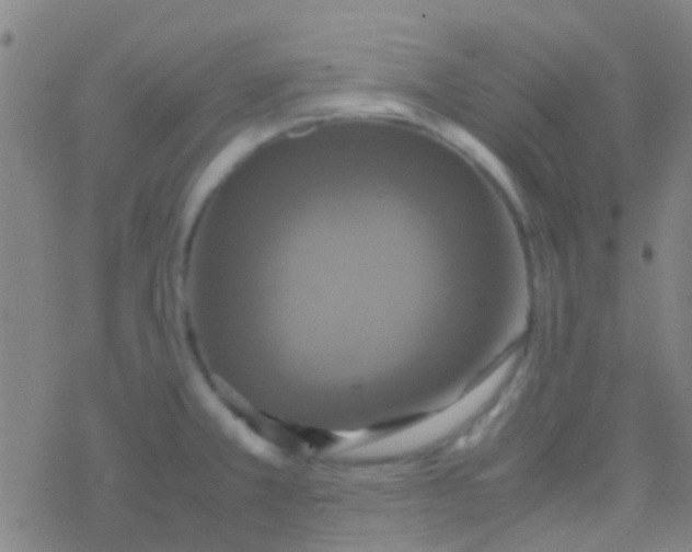 X0000077361381200611101628