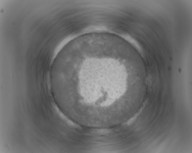 X0000077361382200611101628