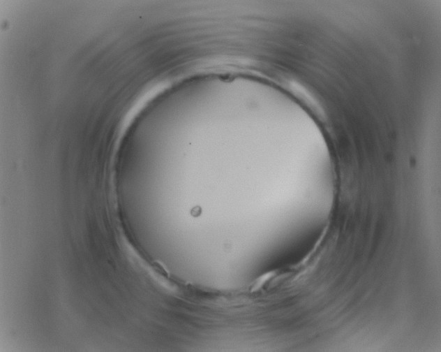 X0000077361384200611101628